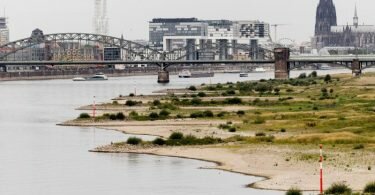 Blick auf den Rhein bei einem Pegel von 154cm - im Hintergrund ist der Kölner Dom zu sehen. Foto: Rolf Vennenbernd/dpa