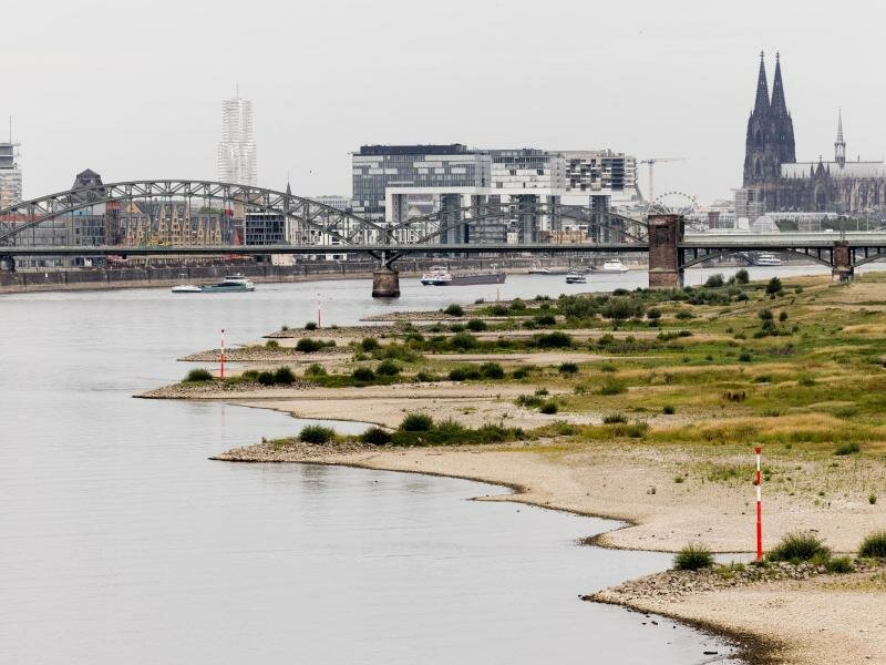 Blick auf den Rhein bei einem Pegel von 154cm - im Hintergrund ist der Kölner Dom zu sehen. Foto: Rolf Vennenbernd/dpa