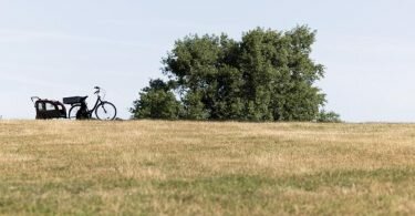 Vertrocknete Wiese am Aachener Weiher in Köln. Foto: Rolf Vennenbernd/dpa