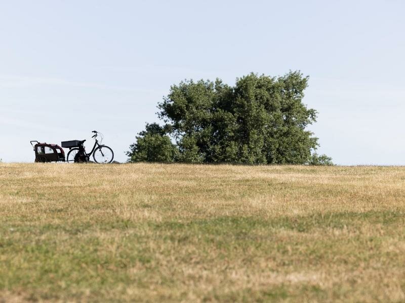 Vertrocknete Wiese am Aachener Weiher in Köln. Foto: Rolf Vennenbernd/dpa