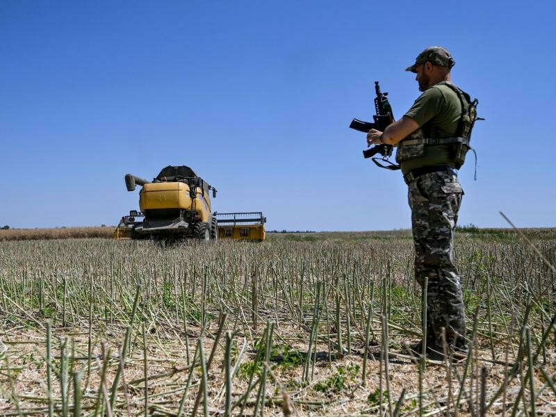 Ein Soldat steht während der Erntezeit auf einem Feld in Saporischschja. Foto: -/Ukrinform/dpa