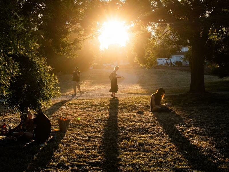 Die Abendsonne bescheint einen der trockenen, staubigen Wege im Frankfurter Günthersburgpark. Foto: Frank Rumpenhorst/dpa