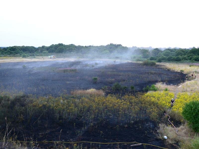 Feuerwehrleute löschen in Ravenswood in Berkshire ein Grasfeuer. Foto: Suffolk Fire & Rescue Service/PA Media/dpa