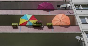 Bunte Schirme gegen die brütende Hitze: Wie hier in Halle stiegen die Temperaturen heute erneut vielerorts in rekordverdächtige Regionen. Foto: Jan Woitas/dpa