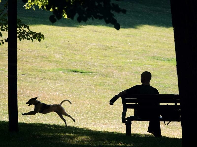 Abkühlung im Schatten:&nbsp;Der bundesweit höchste Wert 2022 wurde mit 40,1 Grad an der Messstelle Hamburg-Neuwiedenthal ermittelt. Foto: Julian Weber/dpa