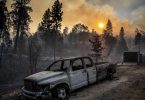 Das Oak Fire wütet nahe des Yosemite-Nationalparks im US-Bundesstaat Kalifornien. Gouverneur Gavin Newsom hat in dem betroffenen Gebiet den Notstand verhängt, Tausende mussten sich in Sicherheit bringen. Foto: Noah Berger/AP/dpa