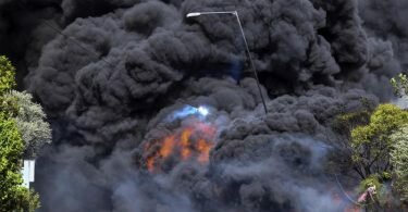 Ein Funke eines Stromkabels hat ein Feuer entzündet in der Nähe des Dorfes Krestena südlich des antiken Olympia. Foto: Giannis Spyrounis/ilialive.gr via AP/dpa