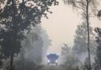 Die Feuerwehr in Brandenburg kämpft weiter gegen einen großen Waldbrand im Landkreis Elbe-Elster. Foto: Jan Woitas/dpa