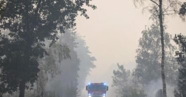 Die Feuerwehr in Brandenburg kämpft weiter gegen einen großen Waldbrand im Landkreis Elbe-Elster. Foto: Jan Woitas/dpa