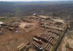 Holzstämme in einem Sägewerk in Brasilien: Die Menschheit hat die für dieses Jahr verfügbaren natürlichen Ressourcen der Erde bereits verbraucht. Foto: Andre Penner/AP/dpa