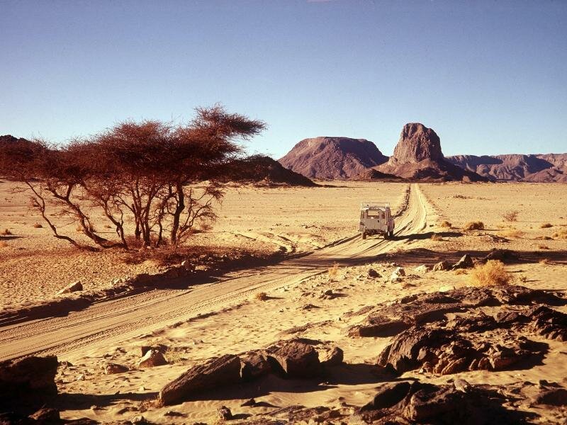Die Sahara in Algerien: Durch die Wüste könnte eine Erdgas-Pipeline nach Europa verlegt werden. Foto: Horst_Heinz_Grimm/dpa