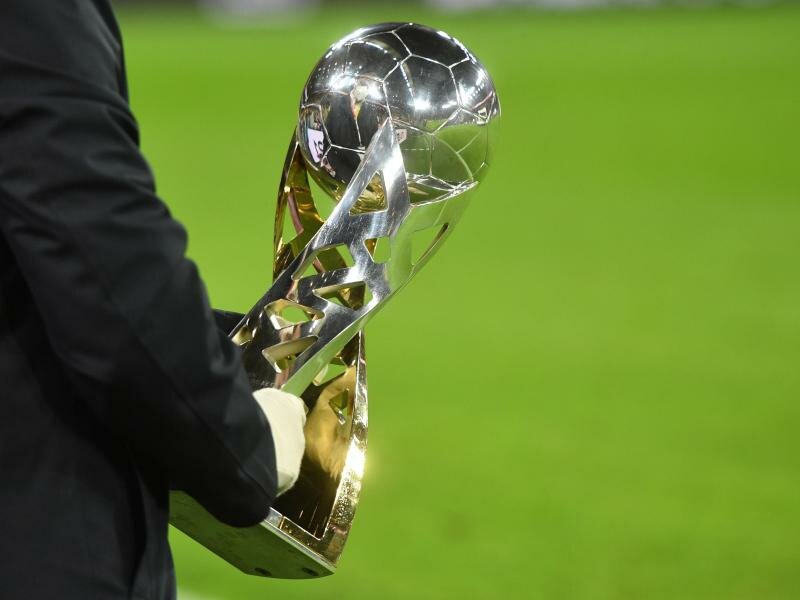 53 Zentimeter hoch und 5,5 Kilogramm schwer: Der Supercup. Foto: Bernd Thissen/dpa