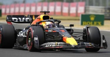 Max Verstappen führt die WM-Wertung vor dem Großen Preis von Ungarn mit 63 Zählern Vorsprung an. Foto: Darko Bandic/AP/dpa