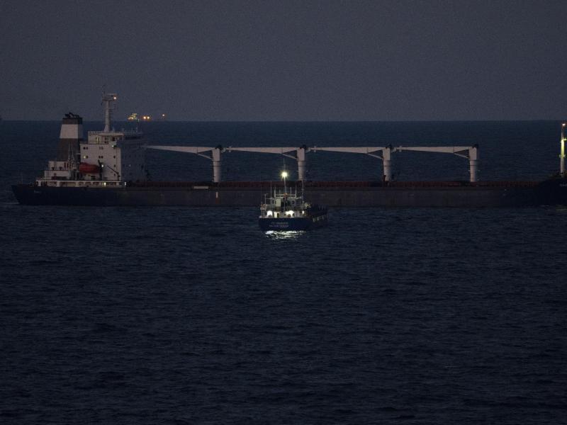 Das Frachtschiff «Razoni» kommt am Bosporus an. Foto: Khalil Hamra/AP/dpa