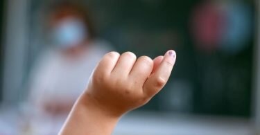 In 11 der 16 Bundesländer hat das neue Schuljahr begonnen. Foto: Jens Büttner/dpa-Zentralbild/dpa