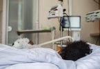 Eine Patientin aus Somalia wird in Berlin aufgrund der schweren Folgen einer Genitalverstümmelung behandelt, die sie als kleines Kind erlitten hat. Foto: picture alliance / Wolfram Kastl/dpa