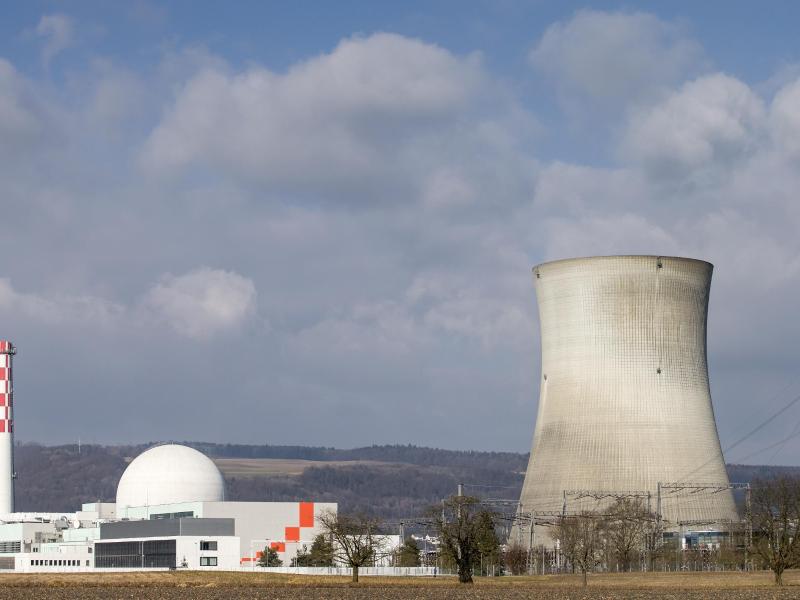 Das schweizerische Kernkraftwerk Leibstadt nebst Kühlturm. Foto: Alexandra Wey/Keystone/dpa
