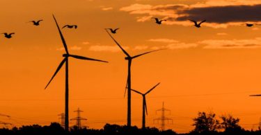 Vögel fliegen bei Sonnenaufgang vor Windkraftanlagen in der Region Hannover. Foto: Julian Stratenschulte/dpa
