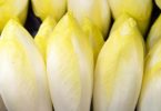 Viel Weiß und eine hellgelbe Spitze: Sieht Chicorée so aus, ist er vergleichsweise mild im Geschmack. Foto: Andrea Warnecke/dpa-tmn
